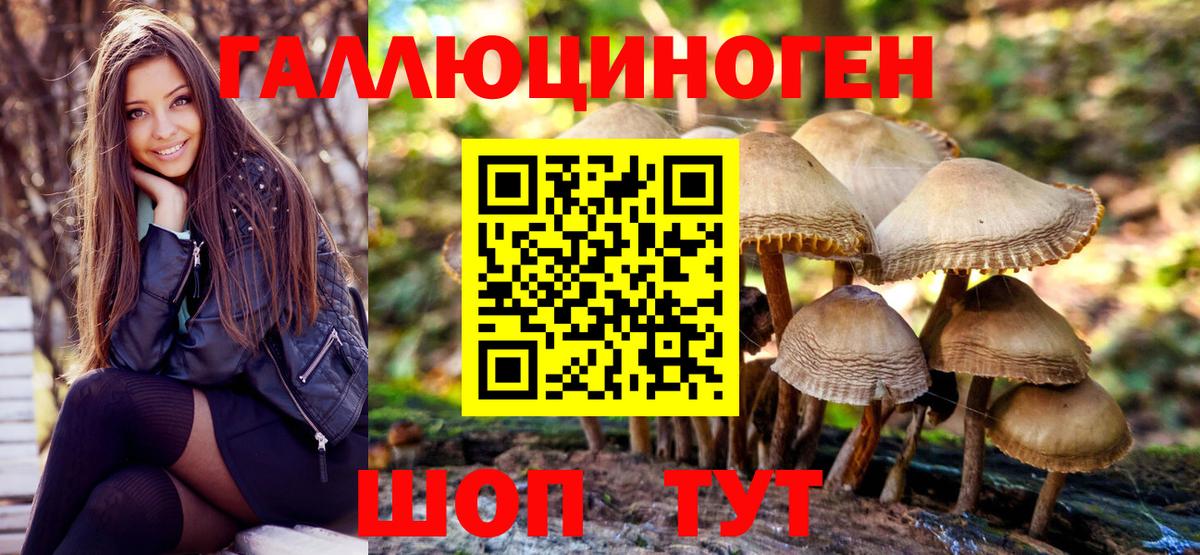 Югорск  Галлюциногенные грибы прущие грибы  Вход с VPN 