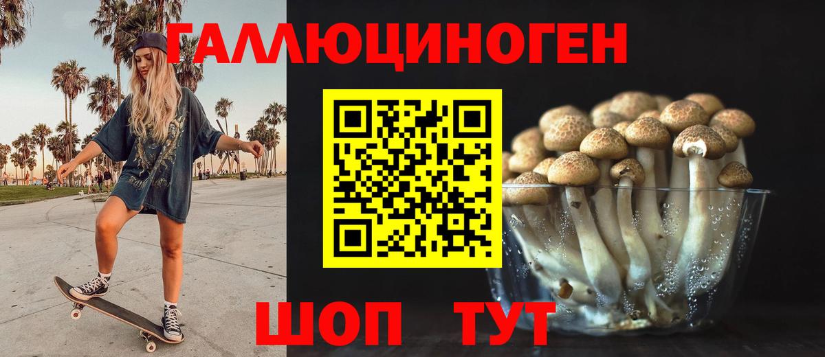 Псилоцибиновые грибы GOLDEN TEACHER Югорск