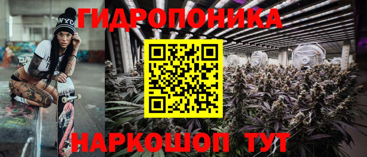 Каннабис индика Югорск